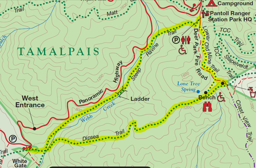 Hike: Dipsea Trail