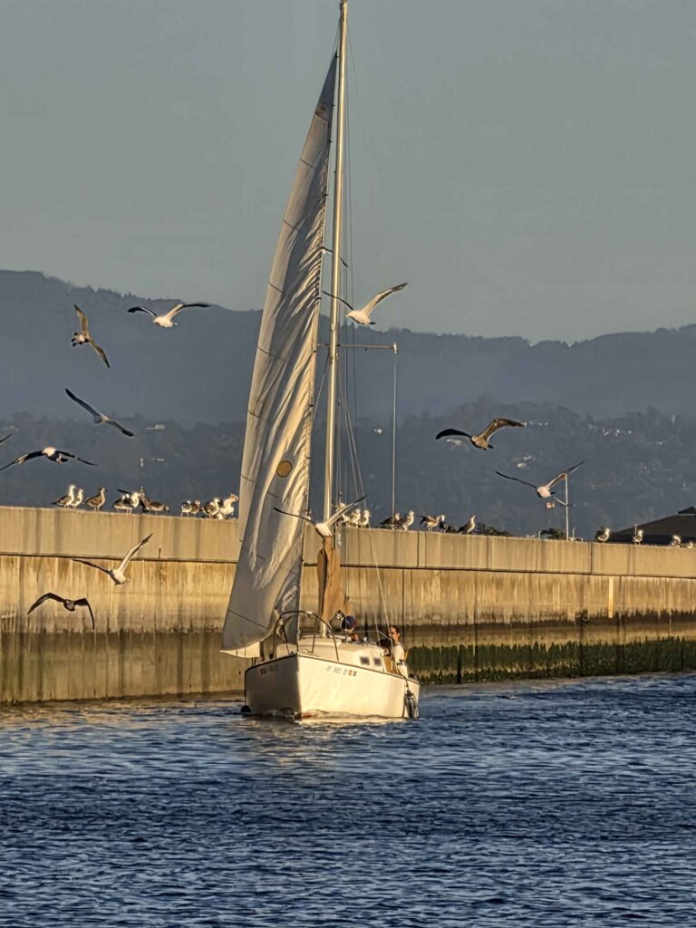 Troop 415 sail boat