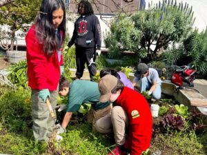 Boys & Girls Club Garden Cleanup