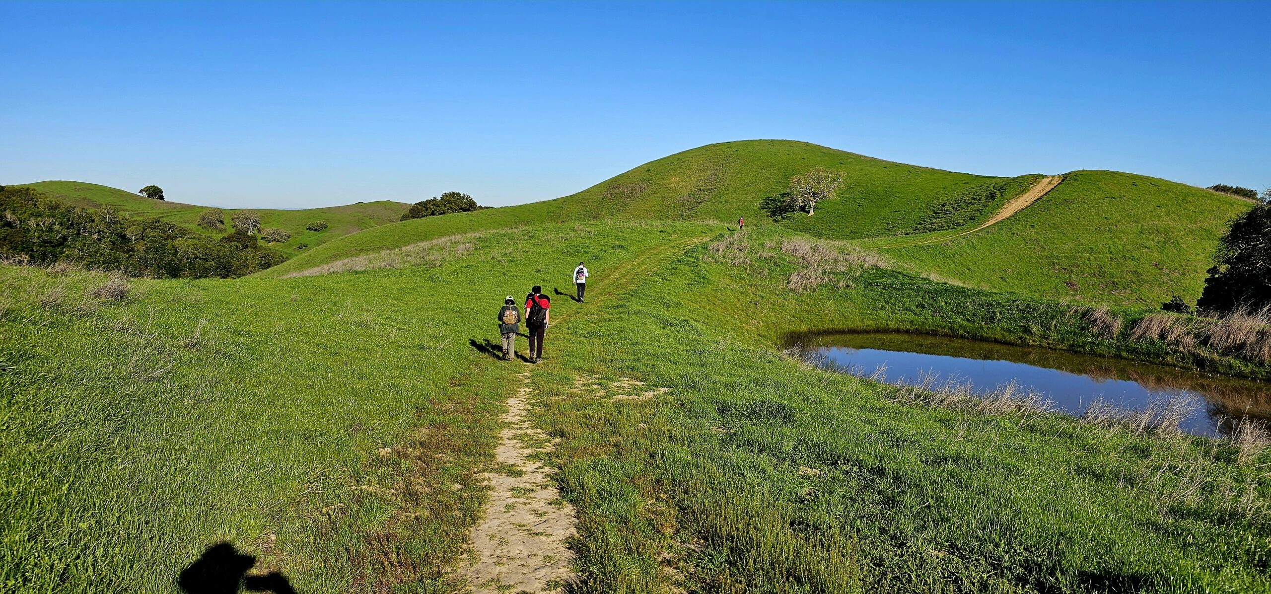 Long-Distance Training Hike: Briones Regional Park