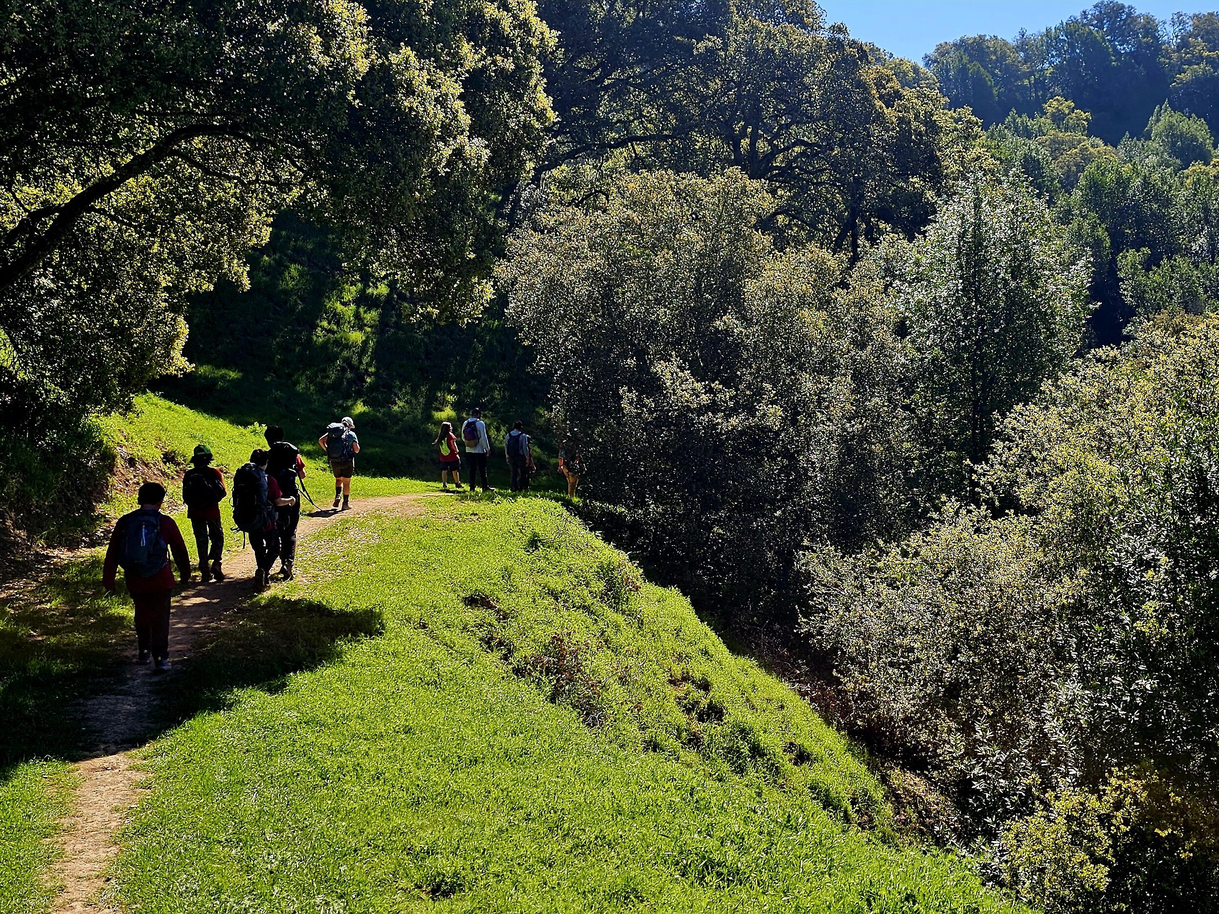 Long-Distance Training Hike: Briones Regional Park