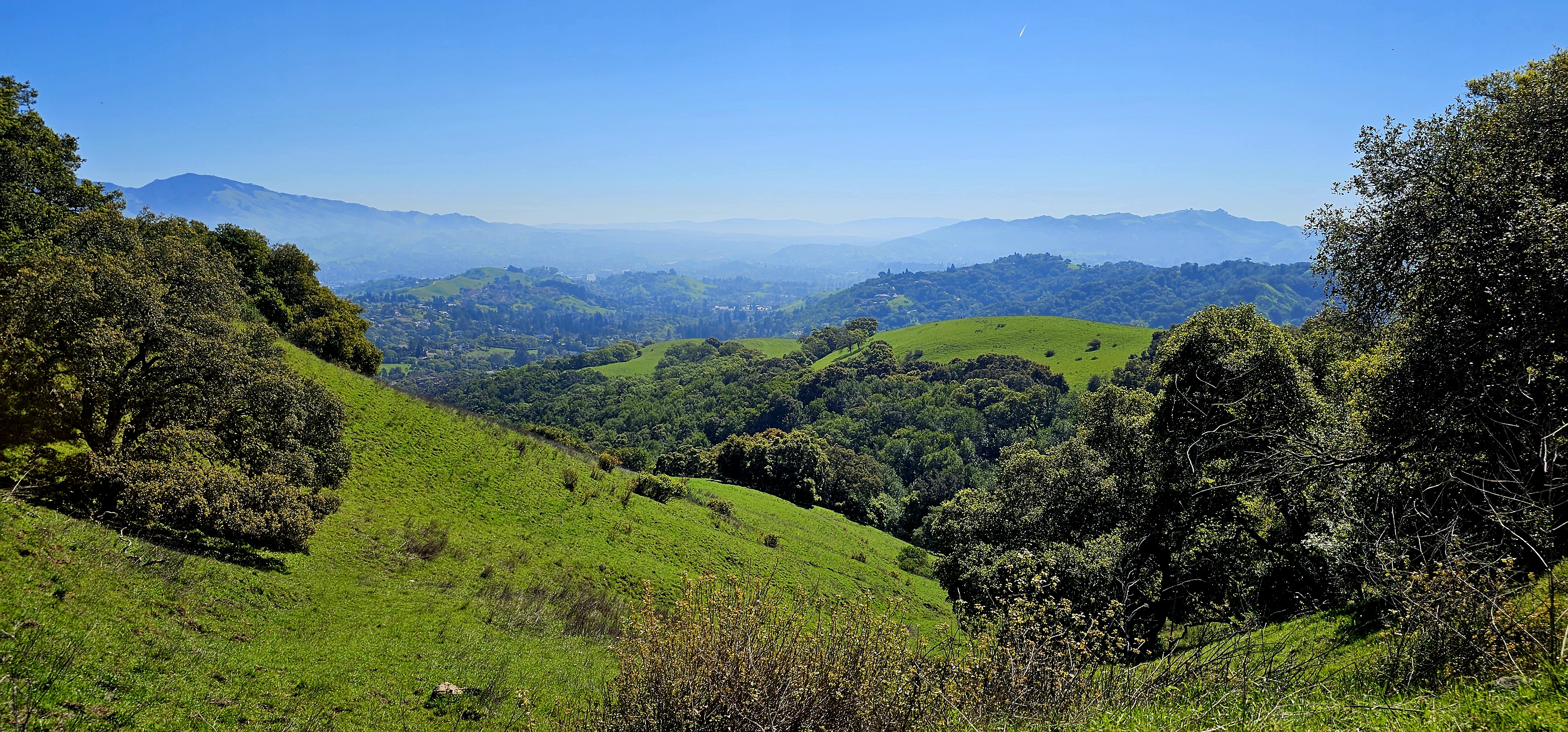 Long-Distance Training Hike: Briones Regional Park