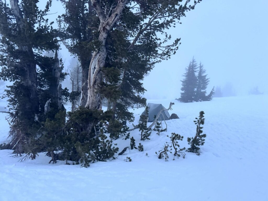 Carson Pass Snowshoe Camp