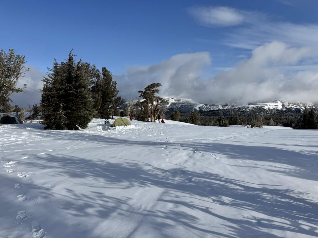 Carson Pass Snowshoe Camp