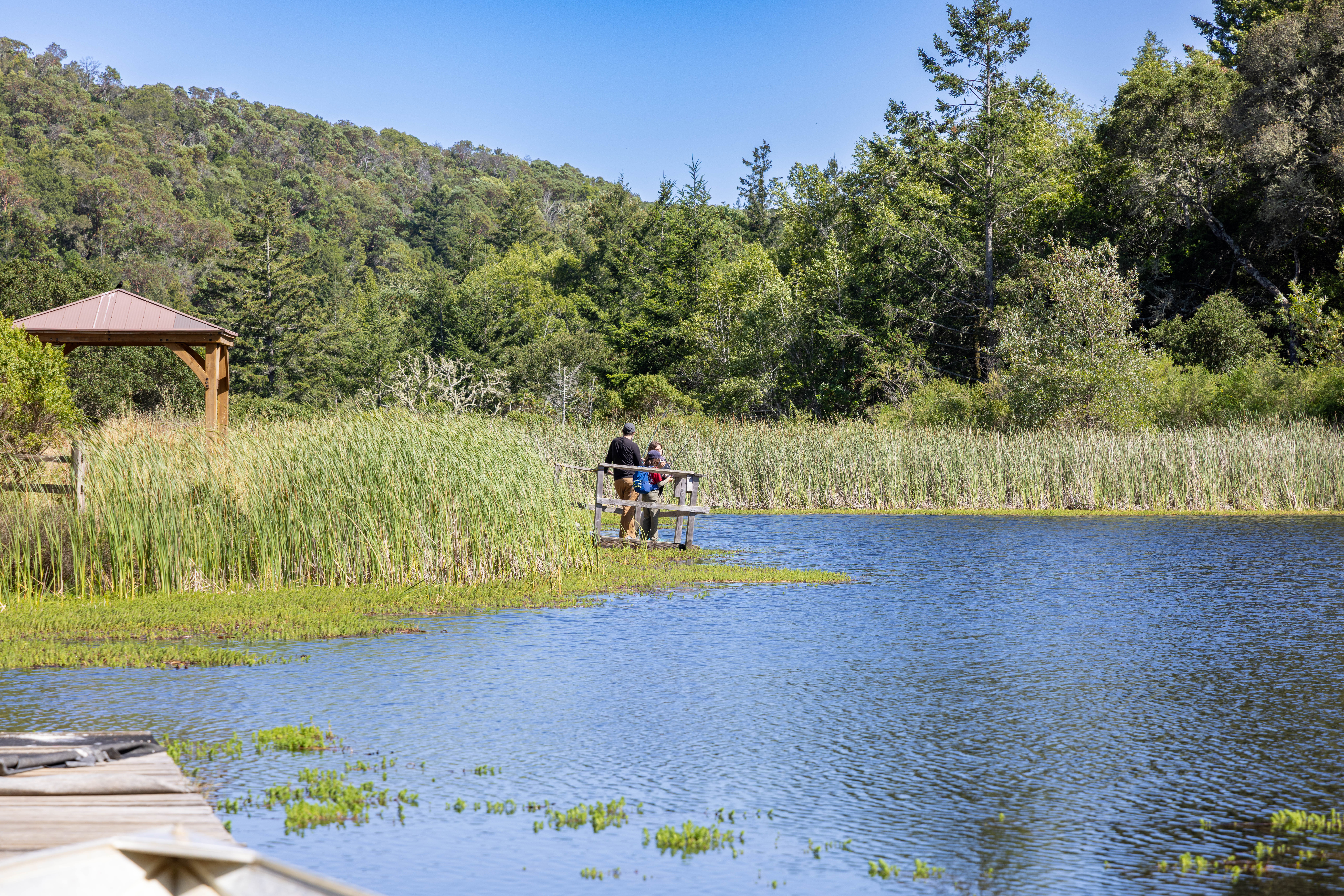 Camp Tamarancho