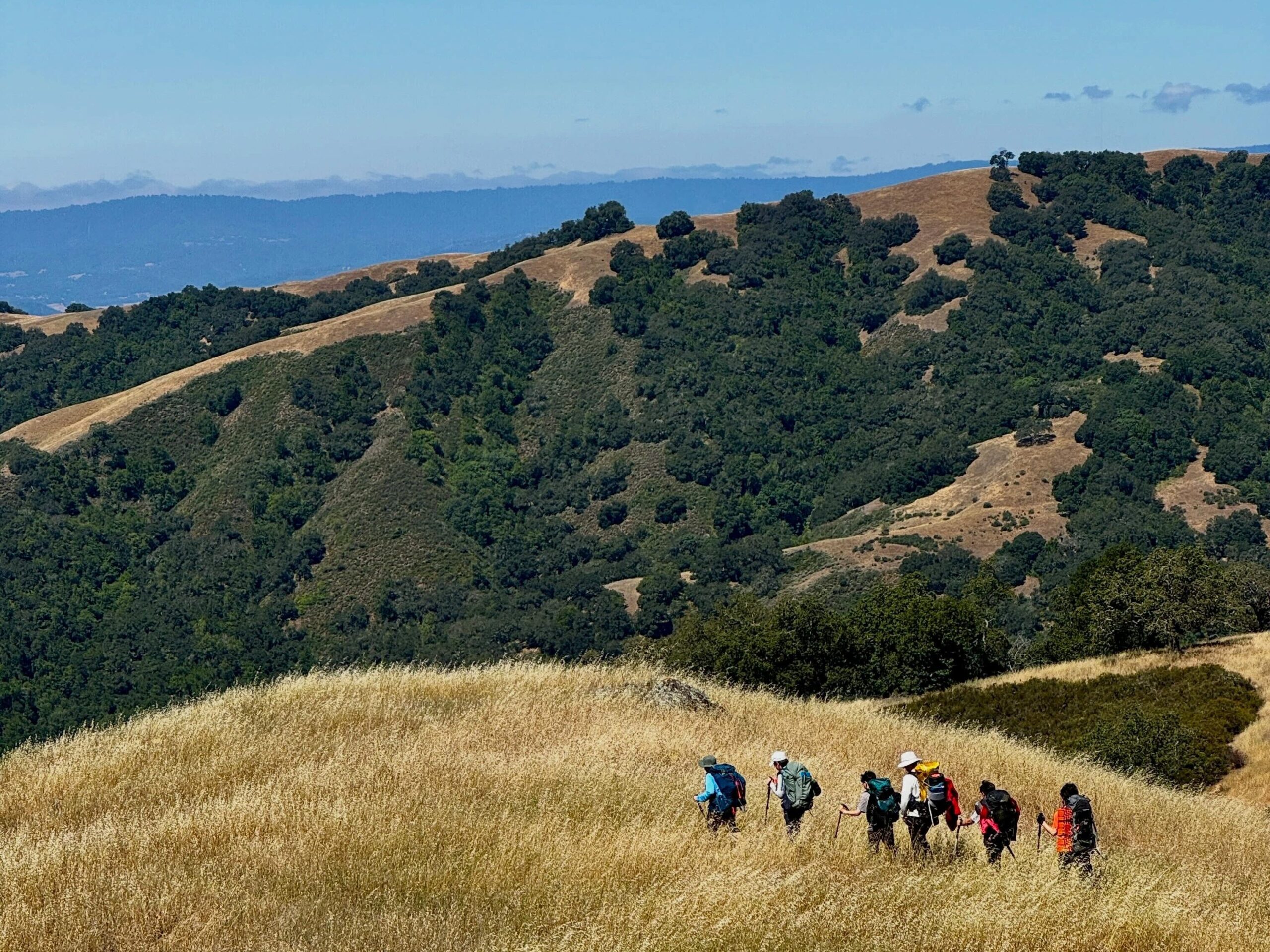 Backpacking: Henry Coe SP