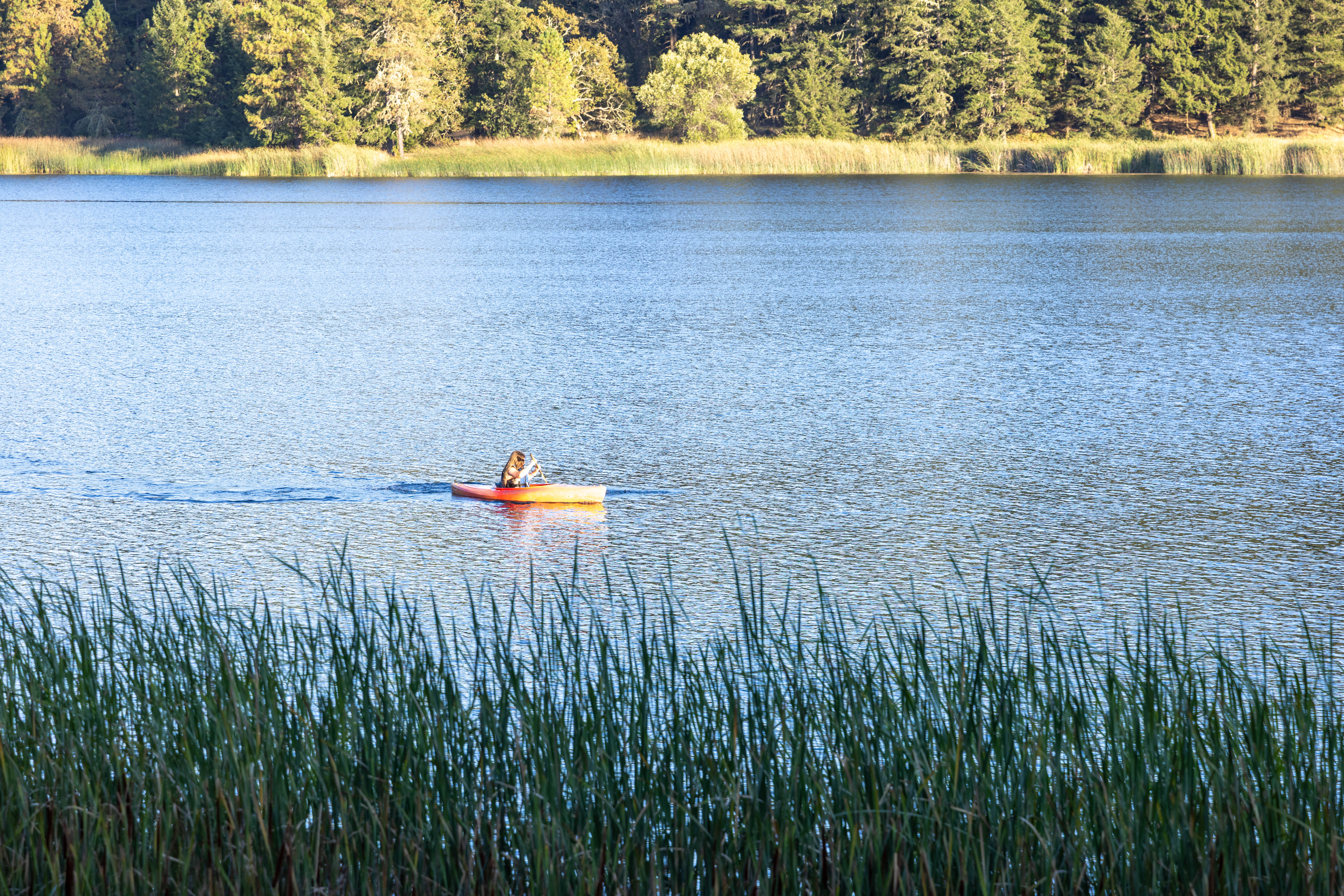 Summer Camp at Wente