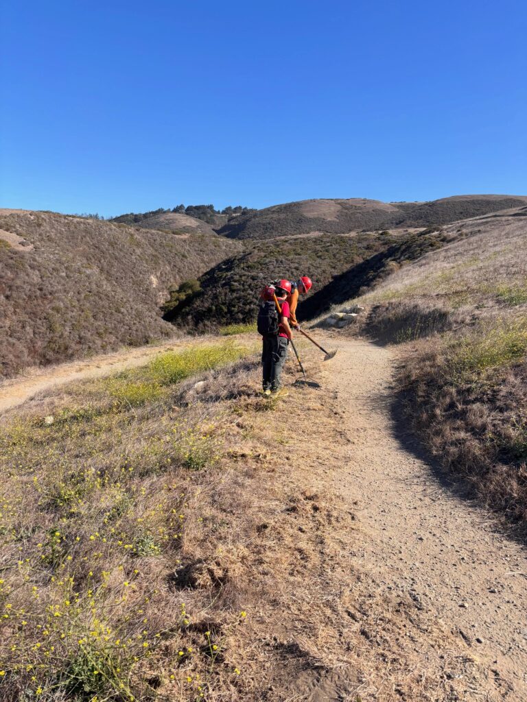 Santa Cruz Mountains Trail Work