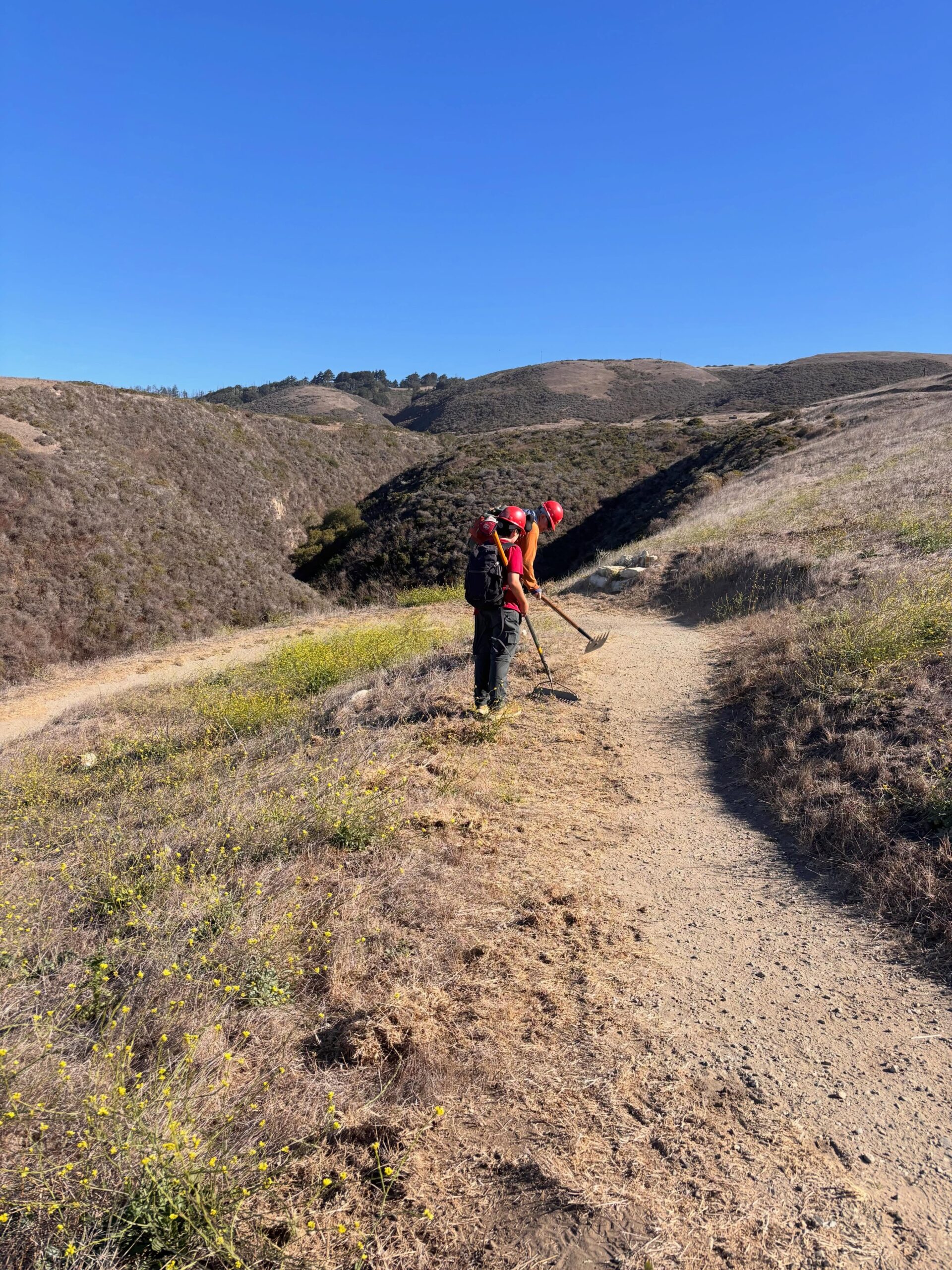 Santa Cruz Mountains Trail Work